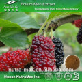 Hot Sell Mulberry Leaf Extract, Mulberry Leaf Extract Powder, Mulberry Leaf Extract 1%